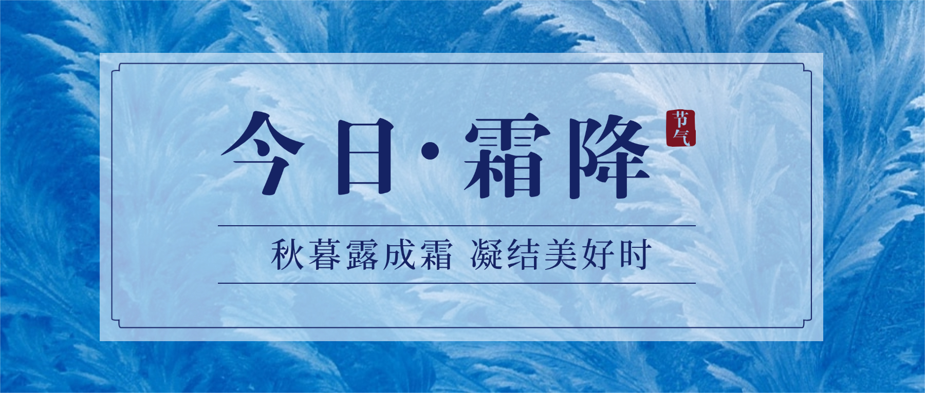 今日霜降 凝结美好