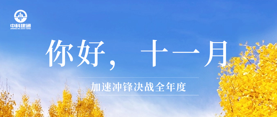 11月，踔厉奋发，向前进！